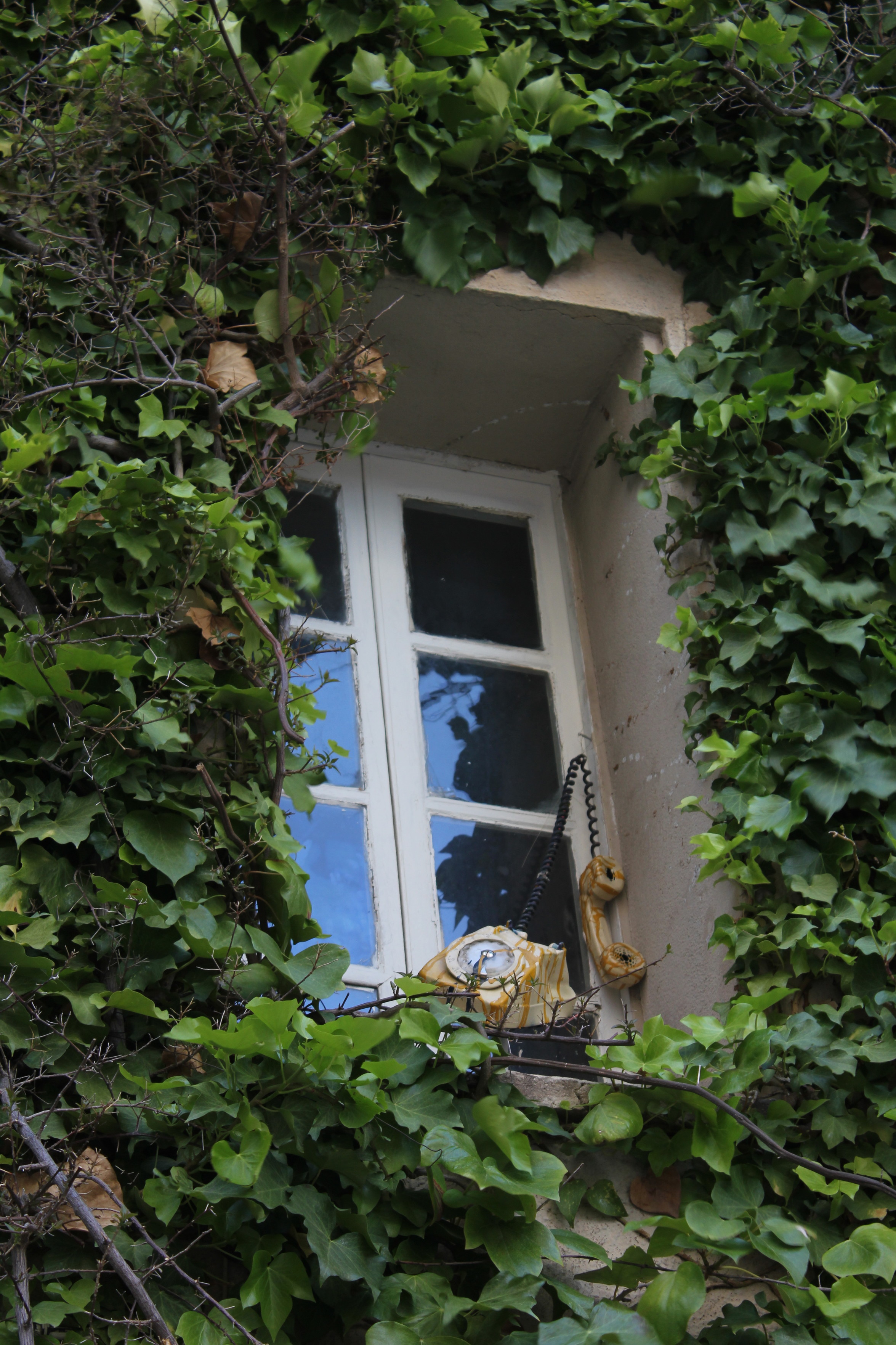 This photo shows a vintage-style window partially obscured by green ivy. The window is white with multiple panes and one can see the reflection of the sky in the glass. There's an old-fashioned yellow rotary telephone with a black cord hanging off the window sill, adding a touch of whimsy to the scene. The surrounding walls are a neutral cream color and the ivy adds a vibrant touch of nature to the man-made structure.