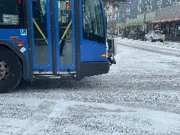 All TriMet MAX lines, buses disrupted by downed trees, high winds, freezing temps