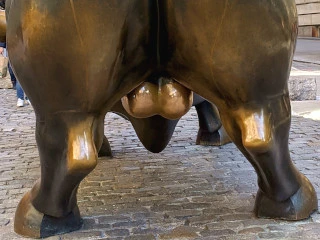 picture of the back half of The Charging Bull statue in NYC, showing the hand-polished scrote