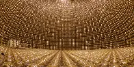 Neutrinos: The inscrutable “ghost particles” driving scientists crazy