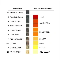 UNDERLYING PIGMENTS IN HAIR