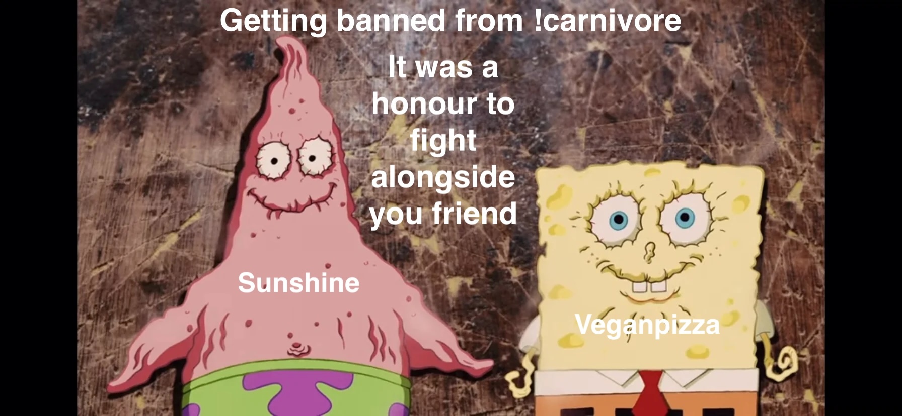 Sponge bob and Patrick drying out before their last moments smiling together "Getting banned from !carnivore"  "It was a honour to fight alongside you friend" "Sunshine on Patrick" Veganpizza" on Spongebob