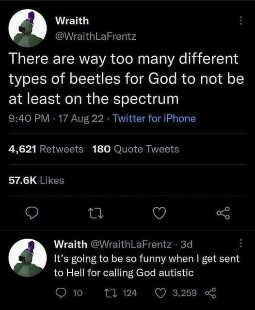 A twitter screenshot from @WraithLaFrentz. The text reads: "There are way too many different types of beetles for God to not be at least on the spectrum. It's going to be so funny when I get sent to Hell for calling God autistic."