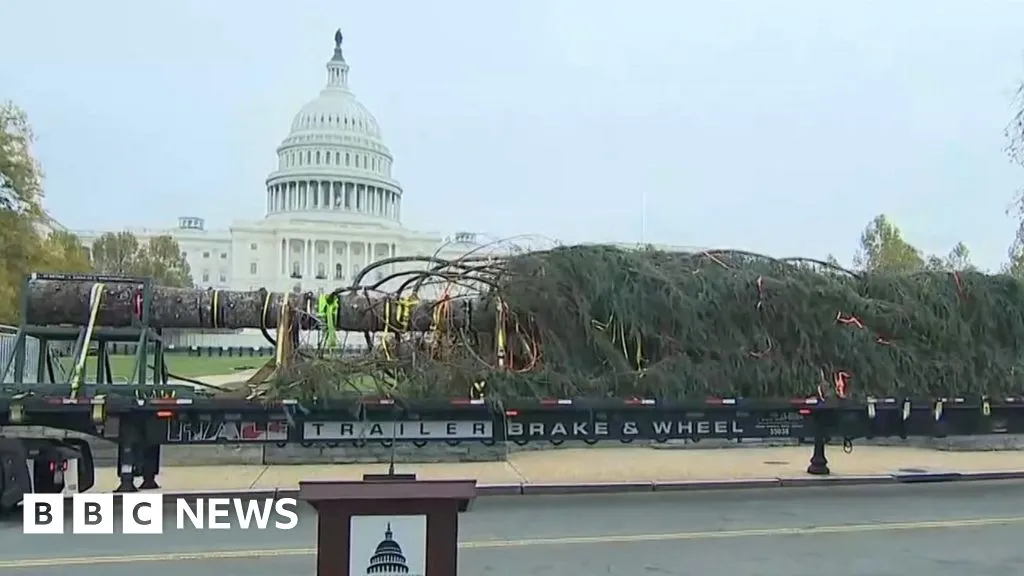 US Capitol Christmas tree arrives in Washington DC