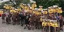 UPS: stage set for Teamsters to launch largest strike at a single employer in U.S. history