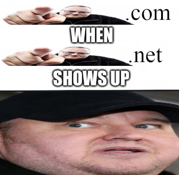 Image shows a meme featuring two images of Kim Dotcom pointing forward with the text ".com" beside the top image and ".net" beside the bottom one. In between them, large text reads "WHEN .net SHOWS UP." At the bottom, there’s a close-up of Kim Dotcom looking shocked and intimidated, representing ".com" reacting to ".net's" arrival.